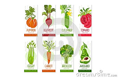 Vertical cards or banners set of fresh vegetables pumpkin, beetroot, cucumber, celery, carrot, broccoli, avocado Vector Illustration