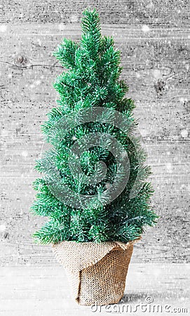 Vertical Christmas Tree, Gray Wooden Background, Snowflakes Stock Photo