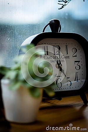 Vertical closeup of a clock on the table with a succulent Editorial Stock Photo