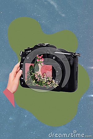 Vertical collage image of arm hold photo camera shooting fresh flowers isolated on drawing background Stock Photo