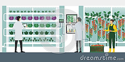 Vertical farming hydroponics Vector Illustration