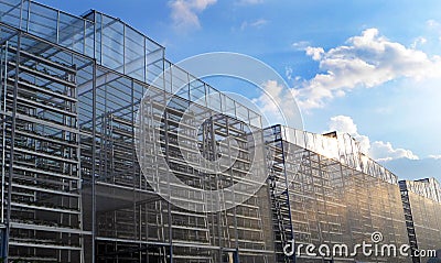 Vertical farming industry, large scale Stock Photo