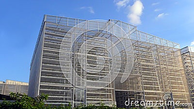 Vertical farming, large scale Stock Photo