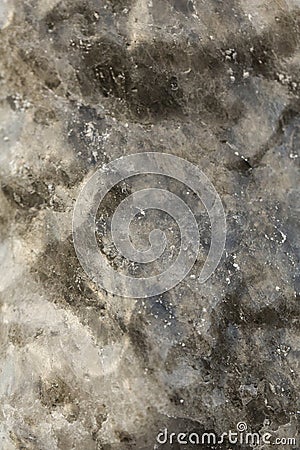 Vertical filled frame close up macro shot of a brown, beige, white mineral salt lick stone intended for feeding wild boars in a Stock Photo