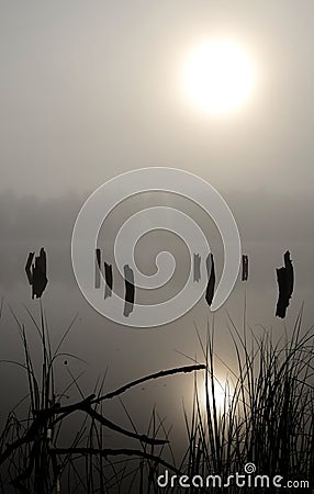 Vertical foggy lake landscape Stock Photo