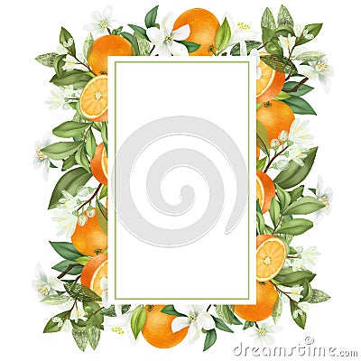 Vertical frame of hand drawn blooming orange tree branches, flowers, oranges Stock Photo