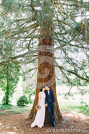 The vertical full-length view of the kissing newlyweds leaning in the huge tree. Stock Photo