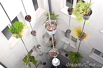 Vertical garden Stock Photo