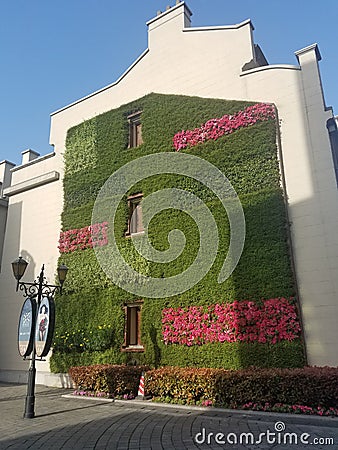 Vertical garden on the Exterior wall of a building Editorial Stock Photo