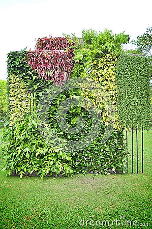 Vertical garden Stock Photo