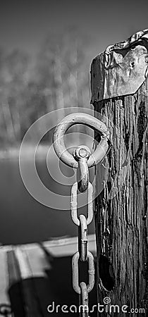 Vertical grayscale of an unchained wood against the isolated background Stock Photo