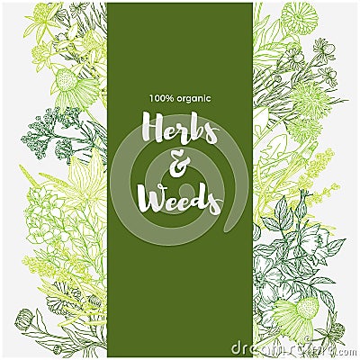 Vertical green banner with color medicinal herbs and flowers on white background Vector Illustration
