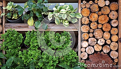 Vertical green and wood garden landscape and design Stock Photo