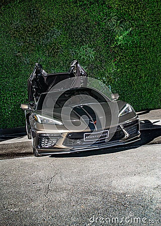 Vertical of grey Chevrolet corvette c8 with headlights on against green background Editorial Stock Photo