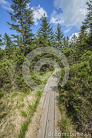 Vertical high angle shot of a wooden trail near the Ribnica lake in the Pohorje hills in Slovenia Stock Photo