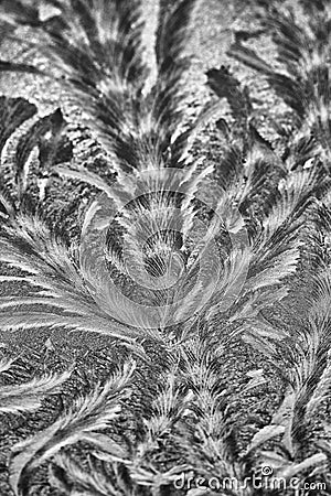 Vertical iceflower background, floral frost design on frozen glass Stock Photo