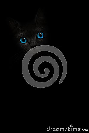 Vertical image black cat portrait with blue eyes is looking out of the shadow on the black background. Cute dark kitten. Cat head Stock Photo