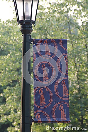 Vertical image of a street light with flag of University of Virginia in Charlottesville. Editorial Stock Photo