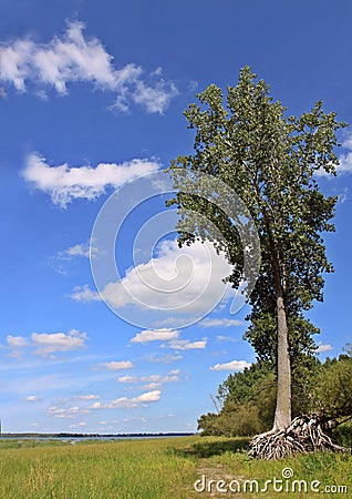 Vertical landscape Stock Photo