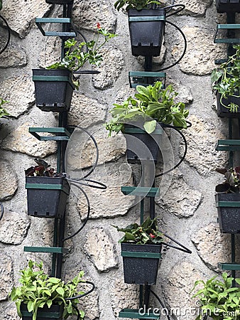 Vertical micro herb garden Stock Photo