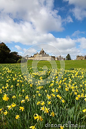 Vertical Panoramic landscape of Castle Howard Stately Home with daffodils at Springtime Editorial Stock Photo