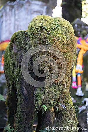 Vertical photo of the detail of the head of a statue of a mossy elephant in front of a Hindu temple Stock Photo