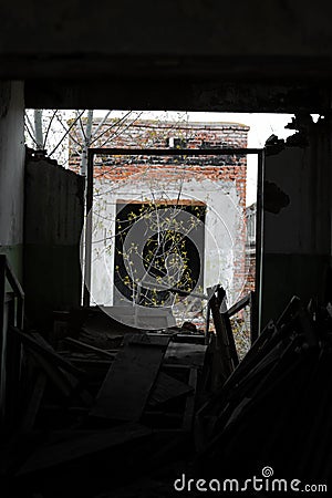 Vertical photograph of the ruins of wooden debris boards and window frames in an abandoned industrial old building with a young Stock Photo