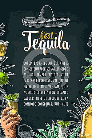 Vertical poster with hand holding glass, bottle, salt, agave, lime Vector Illustration