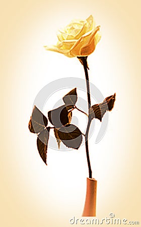 Yellow rose graphic design with brown leaves Stock Photo