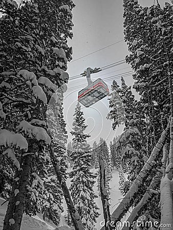 Vertical shot of an aerial tram moving past snow-covered trees at Snowbird Mountain in Utah Editorial Stock Photo