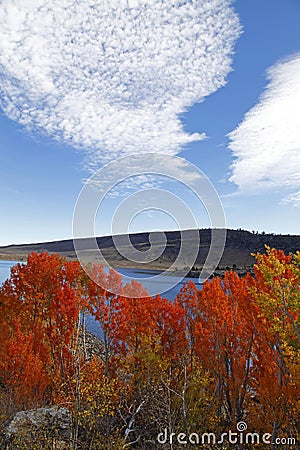 Vertical shot of autumn trees and mountain on a beautiful sky in June Lake Loop, California Stock Photo