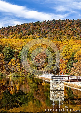 Vertical shot of Aya Lake in the Altai Mountains surrounded by colorful trees reflecting in waters Stock Photo