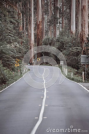 Vertical shot of the Black Spur Drive in Yarra Ranges, Australian Regional Roads Stock Photo