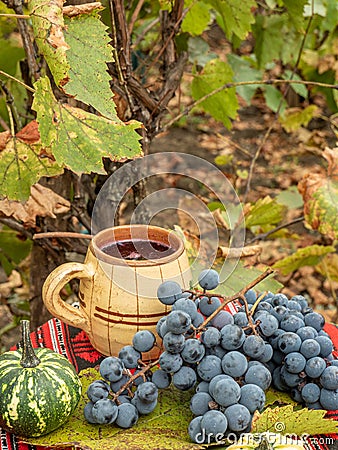 Vertical shot of the concord grapes, wine, and pumpkin on a red tablecloth Stock Photo