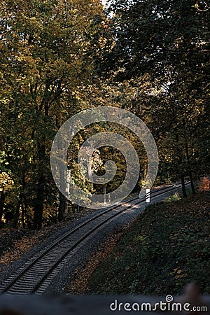 Vertical shot of a curve railroad in Stromovka forest park in Prague City, Czech Republic Stock Photo