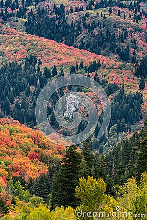 Vertical shot of an elephant rock in Bountiful, Utah, the USA in a fall composition Stock Photo