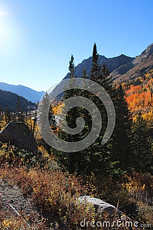 Vertical shot of evergreen and colorful hillside trees in autumn under blue sky Stock Photo