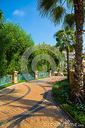 Vertical shot of a fancy garden in Dubai Stock Photo