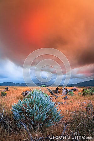 Vertical shot of a field under wildfire clouds in Washoe Valley, Nevada Stock Photo