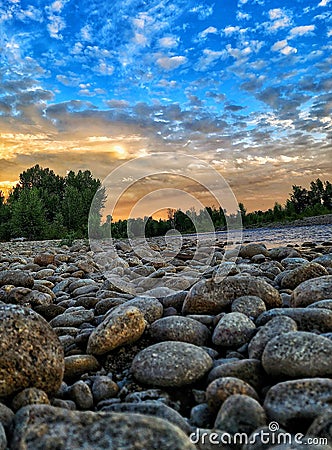 Vertical shot of the jetty rocks of a river with trees in the background during the sunset Stock Photo