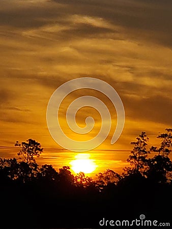 Vertical shot of a mesmerizing golden sunset with the silhouette of trees in the background Stock Photo