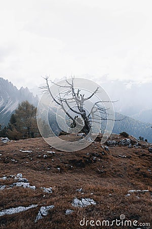 Vertical shot of the misty rocks Stock Photo