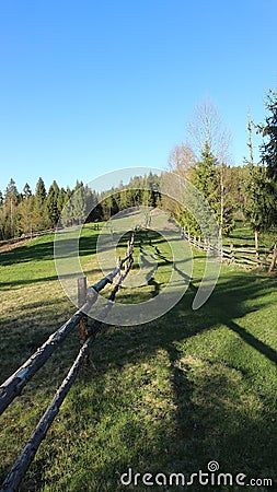 The vertical shot mountain landscape with long shadows of trees illuminated by the setting sun Stock Photo