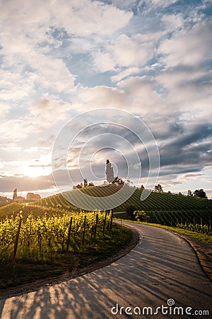 Vertical shot of a path to vineyards in Austria, South Styria at sunset with a cloudy sky above Stock Photo