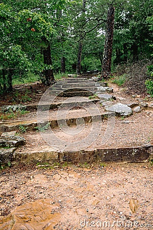 Vertical shot of pathway stairs going to a forest Stock Photo