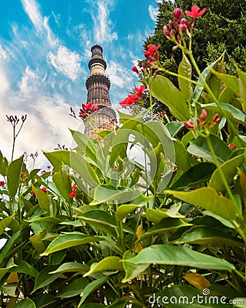 Vertical shot of the Qutub Minar brick tower in Delhi in the background of the pink flowers Editorial Stock Photo