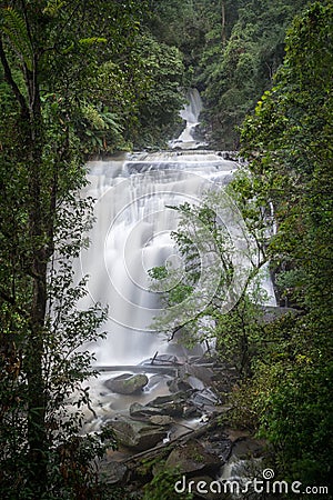 Vertical shot of raging waterfalls surrounded by trees Stock Photo