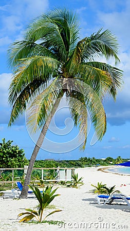 Vertical shot of the Rendez-vous Beach in Anguilla under a blue sky Stock Photo