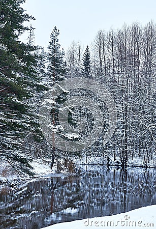 Vertical shot of a river with a mesmerizing reflection of the snowy conifers surrounding it Stock Photo