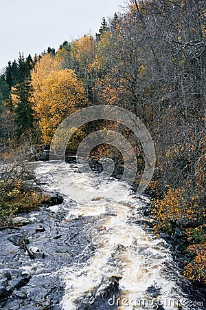 Vertical shot of a river in Toten, Norway, in fall. Stock Photo